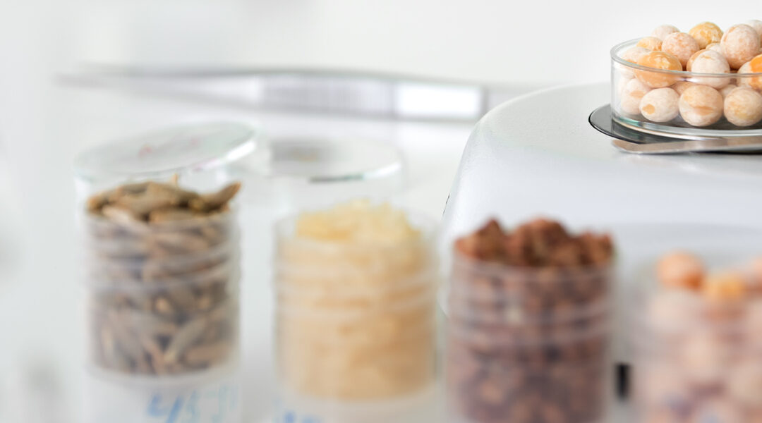 Food & Feed Testing